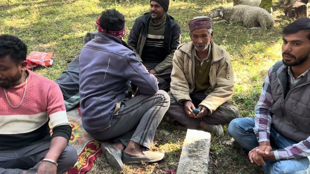 कैसे चरवाहा अपना जीवन बिताते हैं जंगलों में?