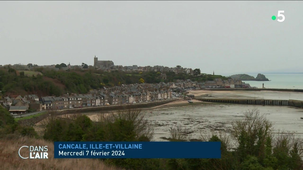 Zéro artificialisation nette (ZAN) : la loi qui divise - Reportage #cdanslair 03.06.2024