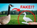 3d printed goose to give to a real goose