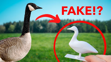 3D PRINTED GOOSE TO GIVE TO A REAL GOOSE