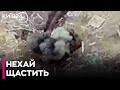 ⚡️Наші військові заманили рашистів в окоп і знищили