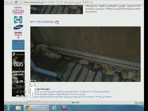 ქუთაისის უნივერსიტეტის აუდიტორიაში სტუდენტებმა ამოსული სოკო აღმოაჩინეს