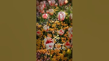 تلاوة خاشعة عطرة مباركة جميلة عذبة مميزة طيبة للشيخ خالد الجليل ماتيسر من سورة الأحزاب