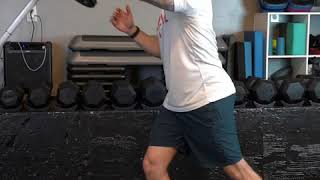 Full Body Push Landmine Barbell Routine