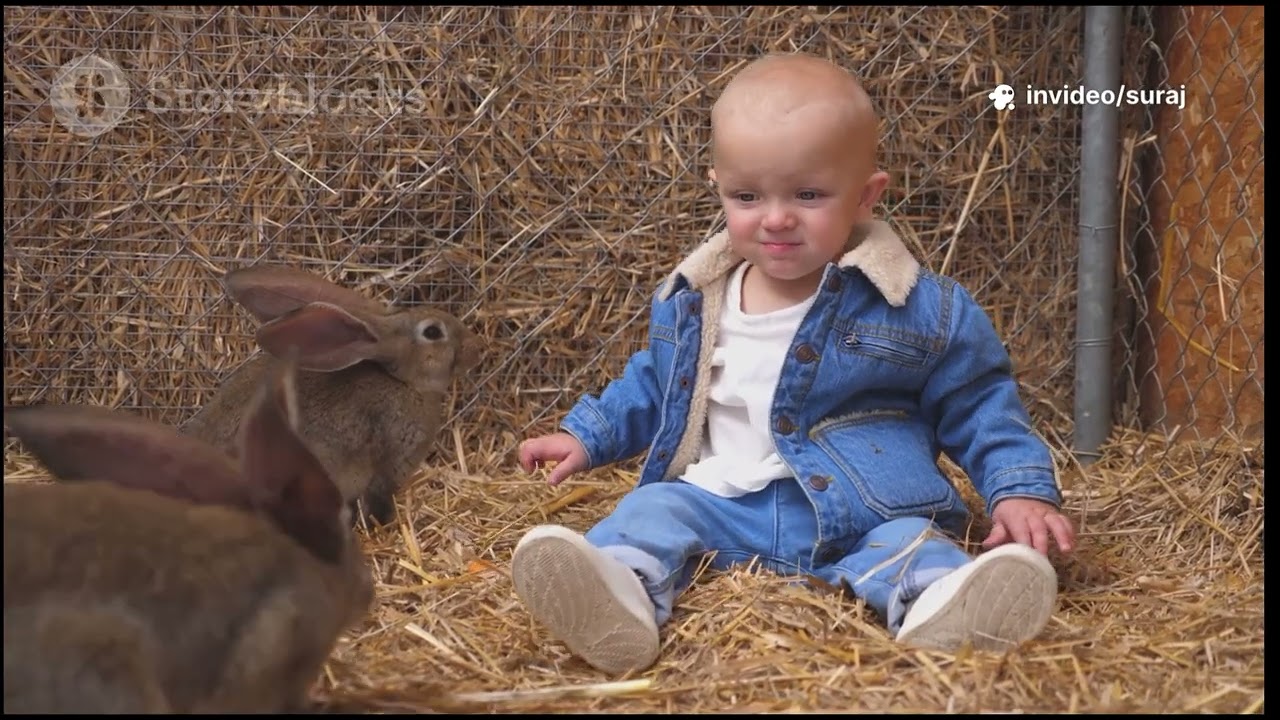 Moral Story for Kids in English | Honest Bunny Cartoon Story | Kids Animation