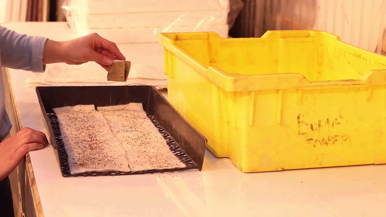 BioStrate™ Felt Growing Media for Hydroponically Grown Microgreens ...
