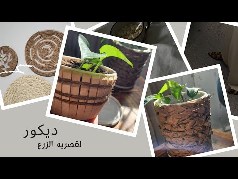 الزرع وجمال الزرع إزاى نعمل قصريه زرع تناسب الديكور البوهيمي