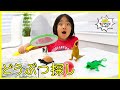 お家の中あっちこっちに生き物が!?
