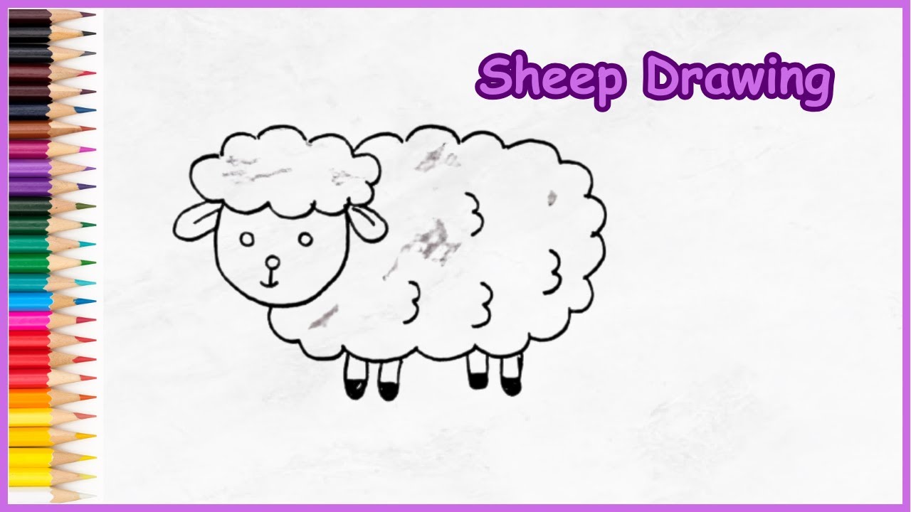 Sheep Drawing | How to draw Sheep Step by step | Easy Sheep drawing ...
