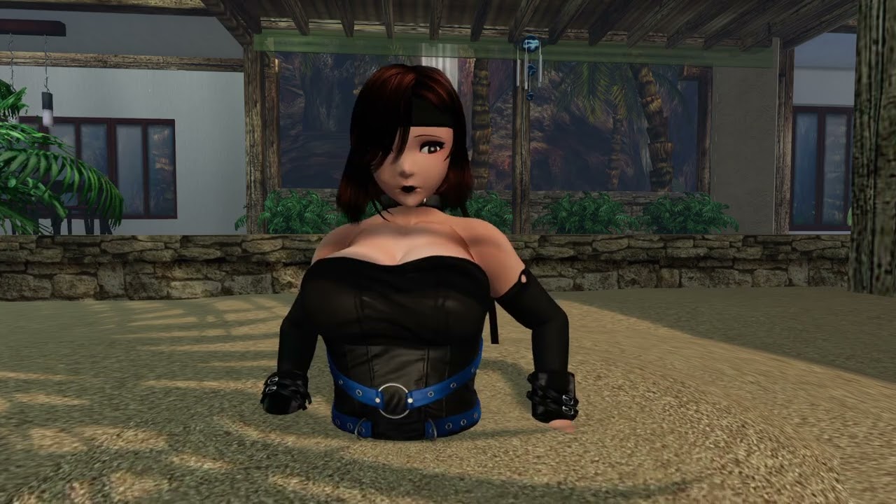 Zora in the Zen Garden