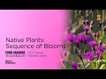 Natives: Sequence of Bloom: Four Seasons Gardening Webinar Series