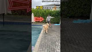 ● 不受控的狗狗🐕🤪