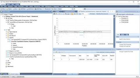 DNAseq - Visualize Copy Number Variations in Array Studio
