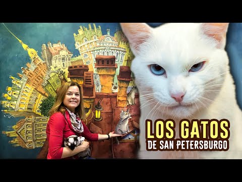 Video: Monumentos a los gatos en Rusia