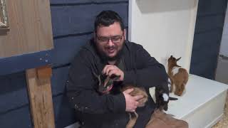 Giving all the baby goats a hug and a snug