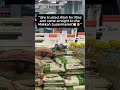 “Tawakkul level: Makkah Pigeon🕊️😂”