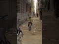 #relaxingmusic #adventure #epicinspiration #apicultura #cyclestunt #cycle #cyclinglife