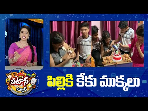 పిల్లికి కేకు ముక్కలు | Cat Birthday Celebrations | Patas News | 10tv - 10TVNEWSTELUGU