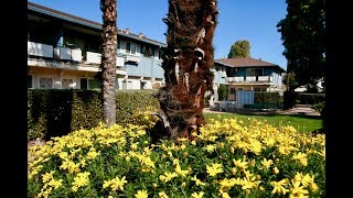 Sunnyvale Apartment For Rent - 2 Bed 1 Bath - by Property Management in Sunnyvale CA