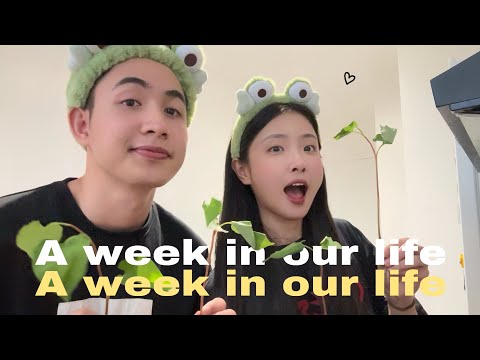 [daily vlog] a week in our life 🦦 cozy vlog in paris | bạch lưu dương