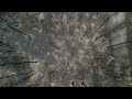 Aerial Drone Reveals the Hundreds of Acres Burned and Over 800 Homes Lost in Spokane Fires