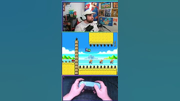 Shelltopia Groovy Shell