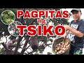UNANG PITAS NG TSIKO (PINERAS) |Byaherong Batangueno
