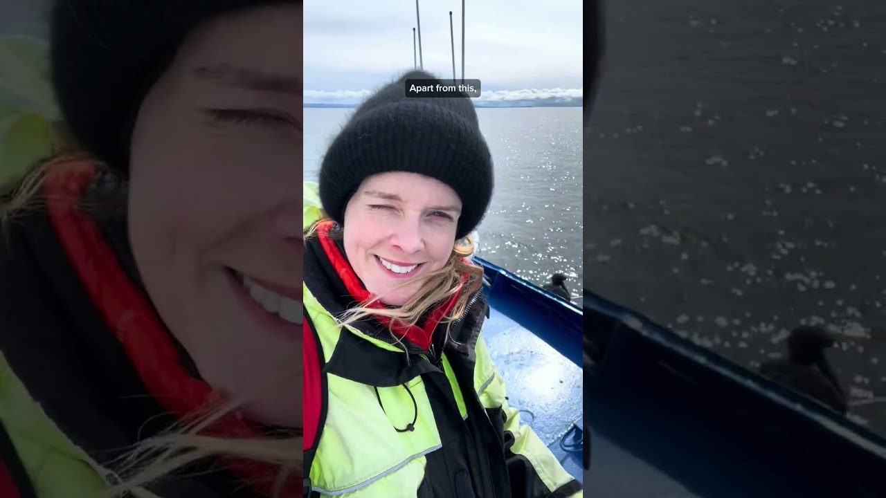 Whale watching has never been easier! 🐋👀😁 