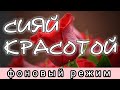 🅚 НАВЕСТИ КРАСОТУ, твой ОСОБЫЙ ШАРМ, затмишь всех❗ФОНОВЫЙ РЕЖИМ❗ Секреты колдовства мастер Катя