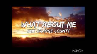 Television / So Far So Good by Rex Orange County Anime : Wonder Egg Priority