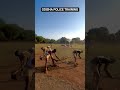 odisha police training time #commando#odishapolice#oisf#osap