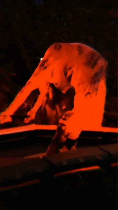 Billie eilish possessed by a demon on stage
