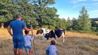 Une famille (presque) 100% autosuffisante !