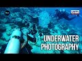 UNTV: The Dive | Puerto Galera diving adventure with underwater photographer Wayne Jones