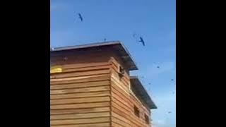 Gedung Walet Kayu Menggunakan Paket Suara Seribu Doa Hp.085379749777