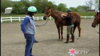 KFW | Horse Therapy | 952.934.2555 | Part 2 | Midwest Center for Trauma & Emotional Healing