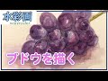 【水彩画メイキング講座】ブドウを描く 【初心者歓迎！】
