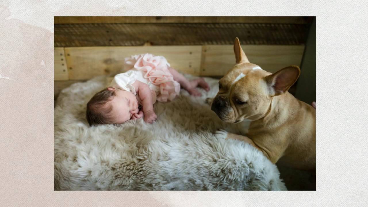 Welcome Little L | Newborn Photography DFW