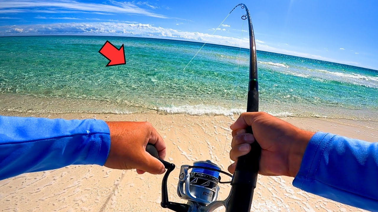 I Never Thought This Would Happen while Fishing the Beach (Mind Blown) 