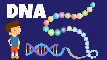 DNA Adventures - Unlocking the Secrets of Life! (3 Minutes)