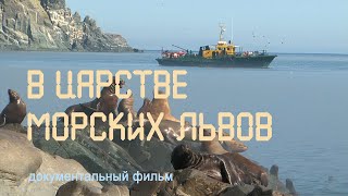 Nature of Russia. In the realm of the sea lion. Sea of Okhotsk. Kurile Islands. Seal Island. Seals.