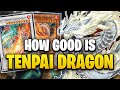How good is the tenpai dragon archetype