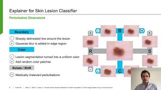 Towards Domain-Specific Explainable AI: Model Interpretation of a Skin Image Classifier (Teaser)