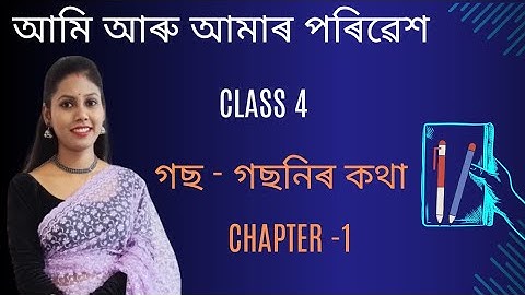 Class 4 EVS | গছ - গছনিৰ কথা | Chapter 1 | Assamese Medium | আমি আৰু আমাৰ পৰিৱেশ