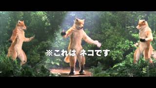 映画『ジャッジ！』TVCM30秒きつね篇＆コメディ篇（大ヒット公開中ver）