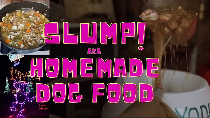 MY FIRST ATTEMPT AT MAKING HOMEMADE DOG FOOD aka S...