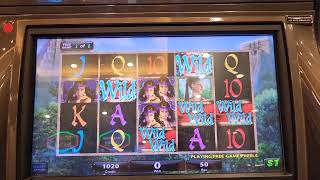 Midnight ECLIPSE WILD WILD WILD bonus $50 BET!