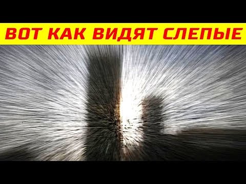 Видео: Что видят слепые? Факты и исследования