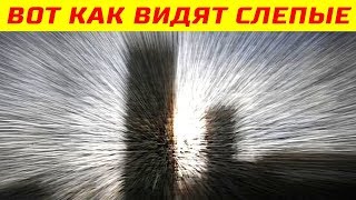 Вот Как Слепые Люди Видят Окружающий Мир