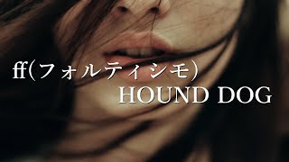 【ff (フォルティシモ)】HOUND DOG